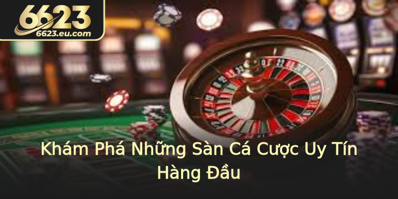 Khám Phá Những Sàn Cá Cược Uy Tín Hàng Đầu