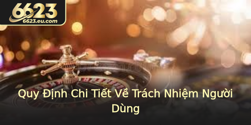 Quy Định Chi Tiết Về Trách Nhiệm Người Dùng