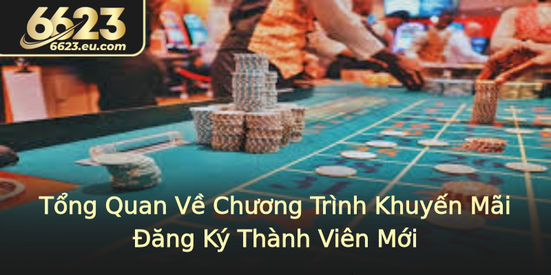 Tổng Quan Về Chương Trình Khuyến Mãi Đăng Ký Thành Viên Mới